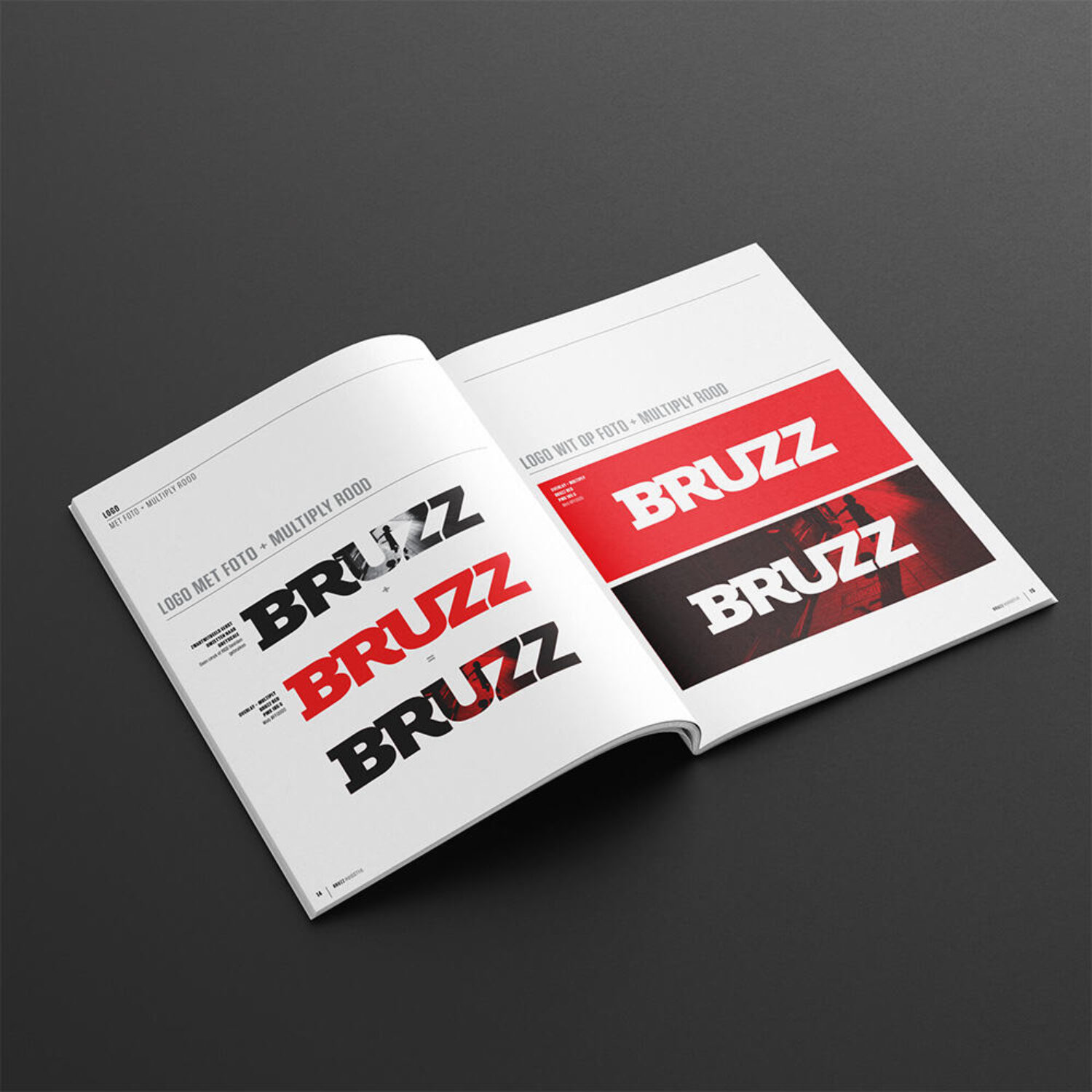 BRZ_guidelines_SQUARE_02