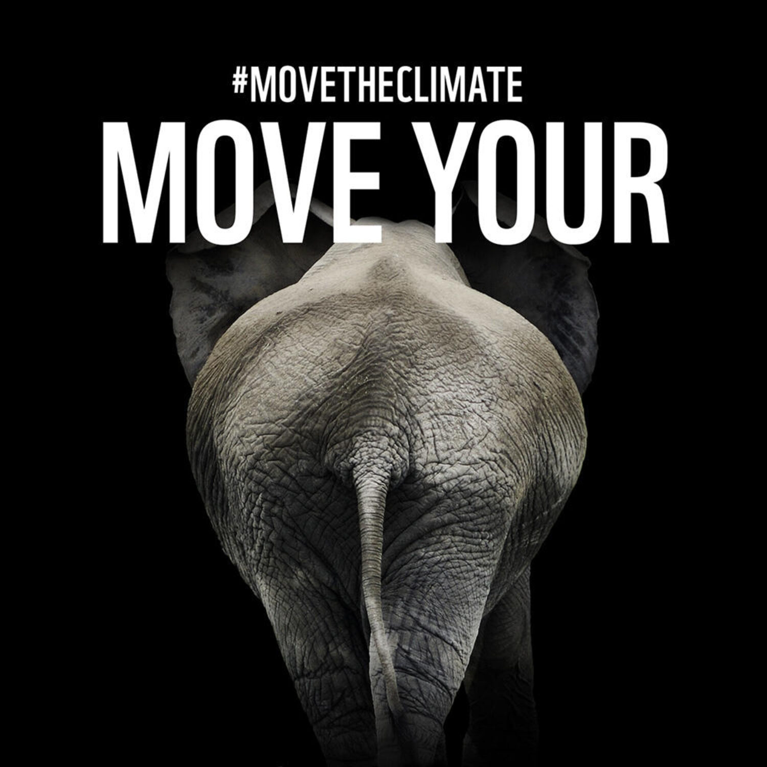 WWF_MOVEYOUR_1x1_03