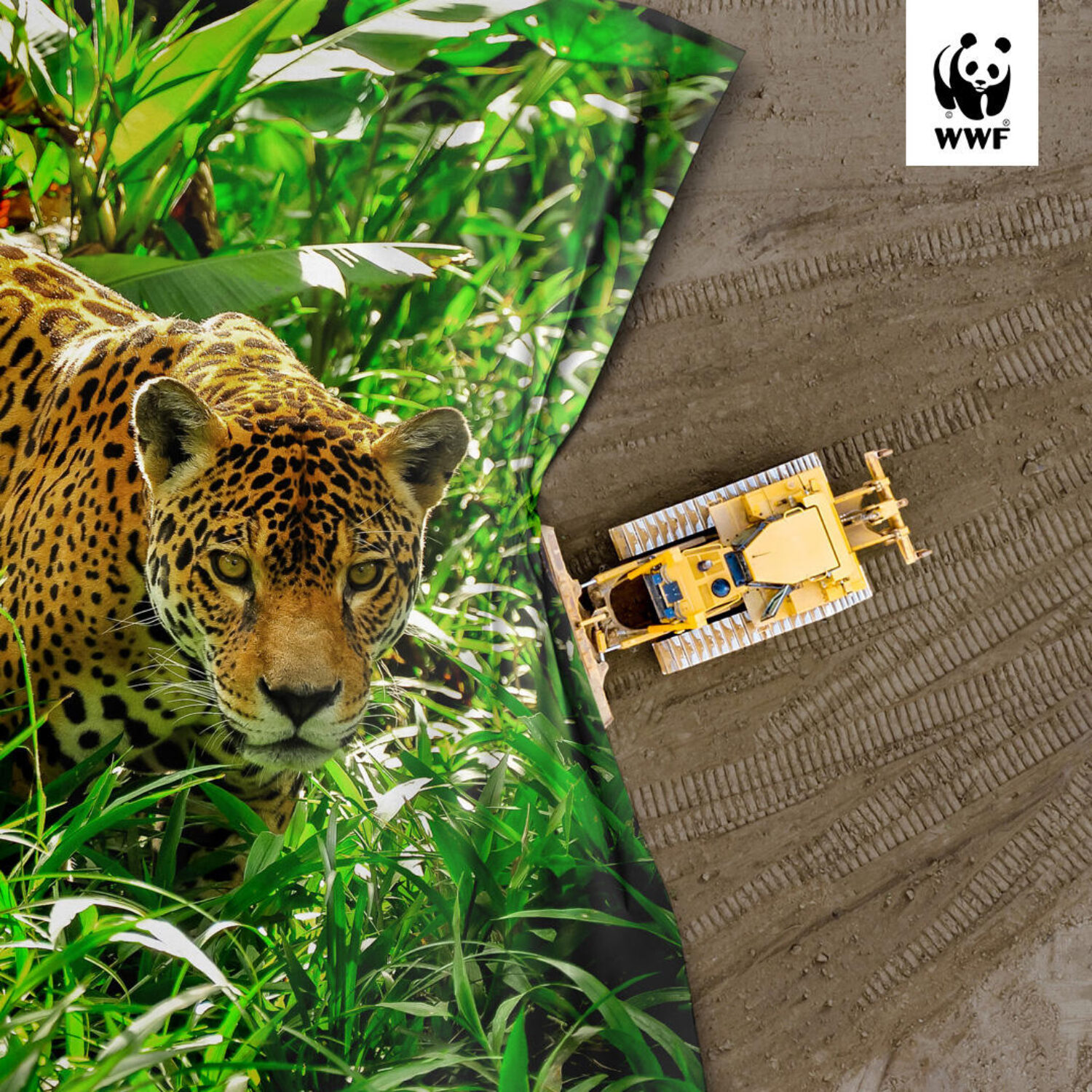 WWF_TOGETHER4FOREST_1x1_CASE_COVER