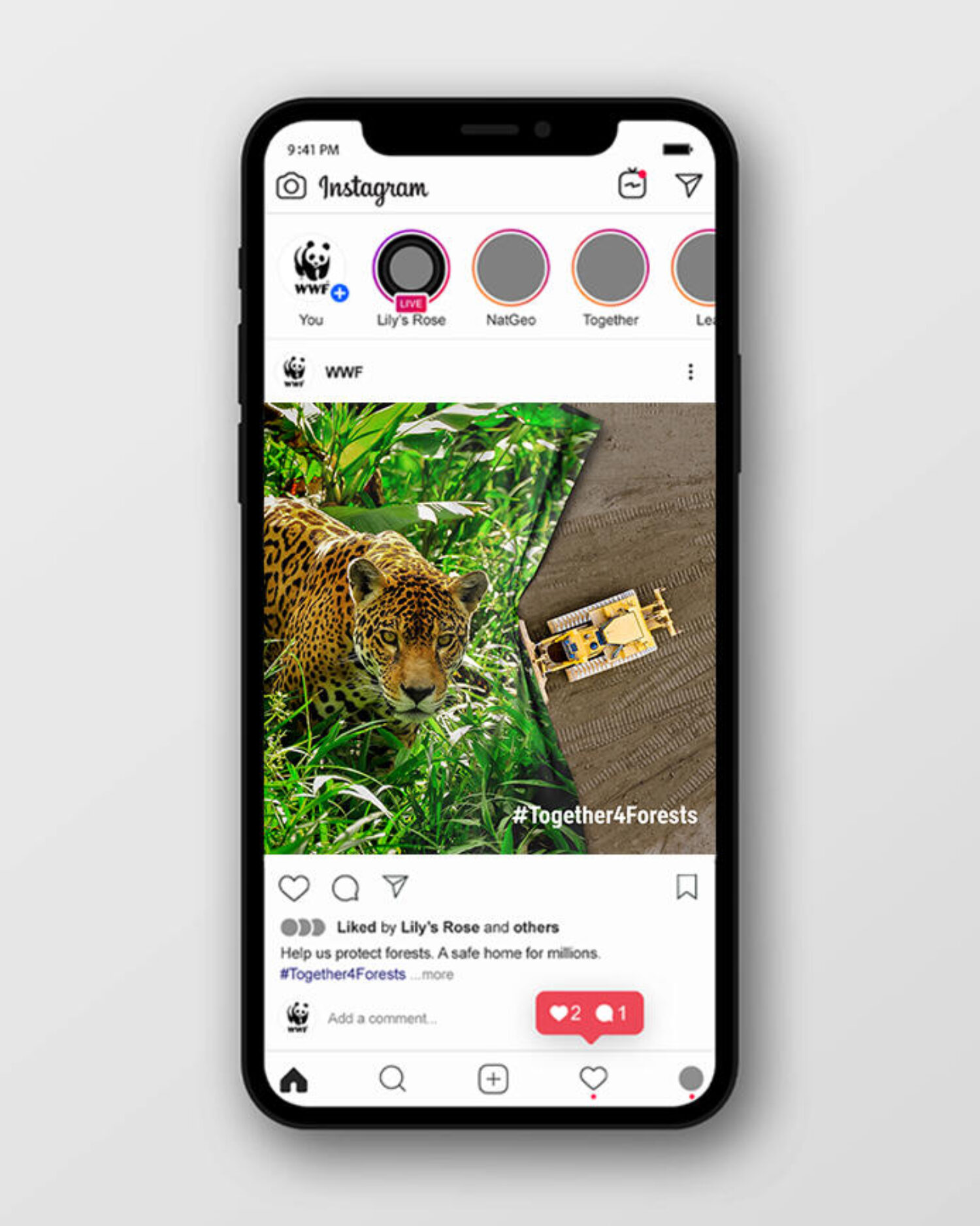 WWF_TOGETHER4FOREST_4x5_01